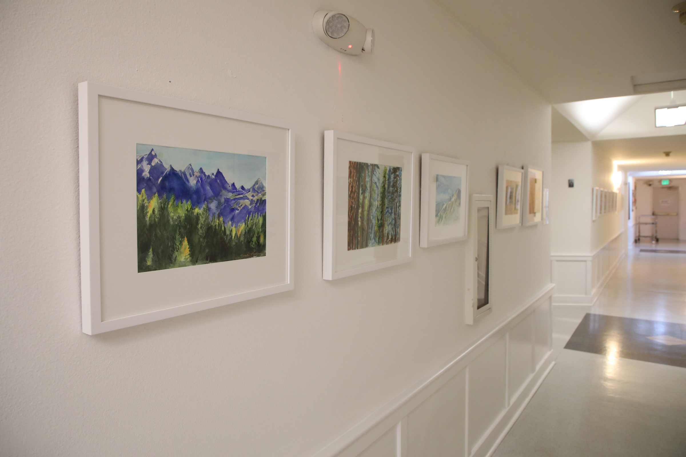 photo of images hanging on a hallway wall 